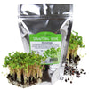 Bulk Organic Buckwheat Sprouting & Microgreens Seeds – 1 Lb – Unhulled, Non-Gmo – High-Germination Seeds For Fresh Sprouts, Nutritious Micro Greens, Hydroponic Growing, And Indoor Gardening