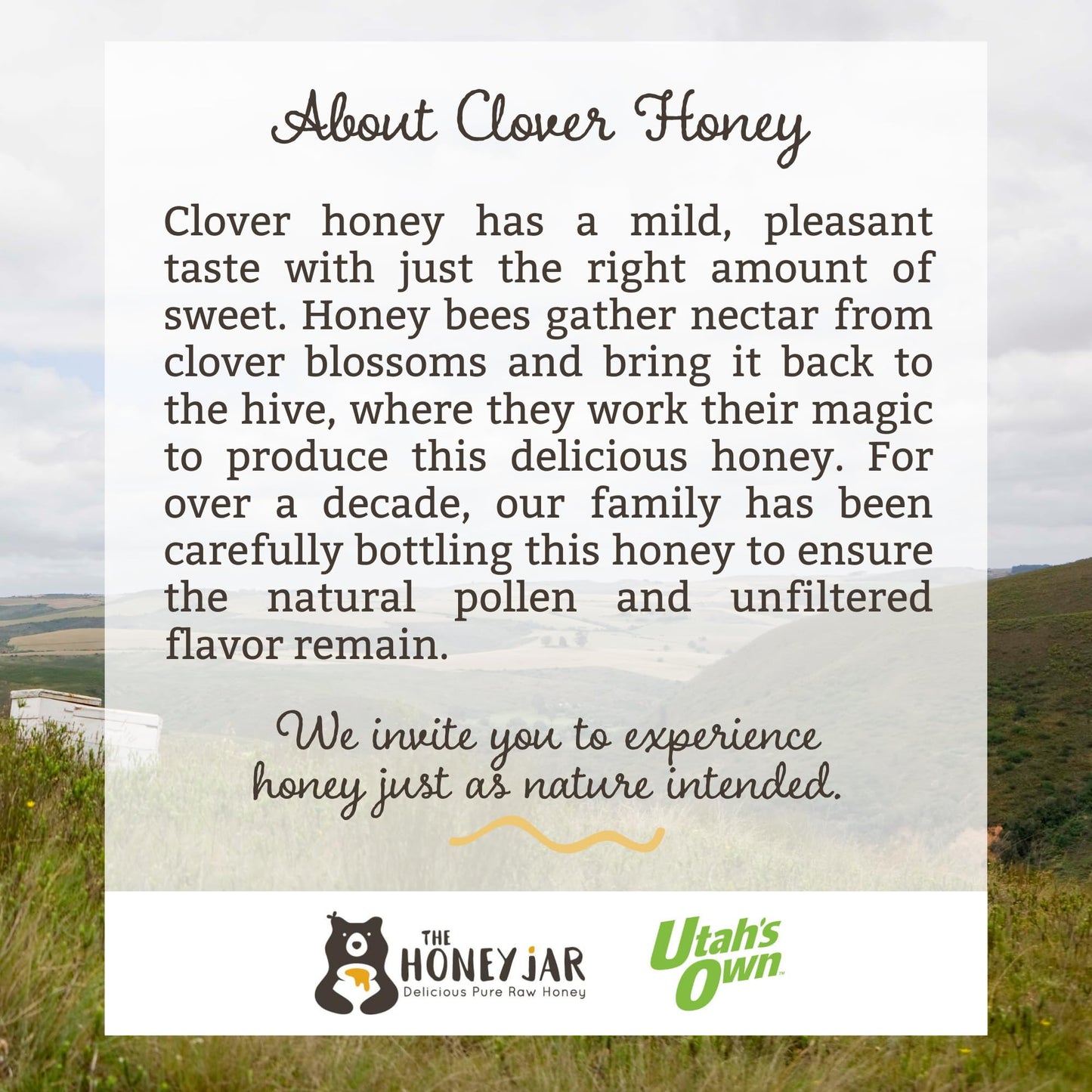 The Honey Jar Raw Clover Honey - Unfiltered And Unpasteurized Honey - Pure Honey Sourced From Family-Owned Farms In The Usa - 3
