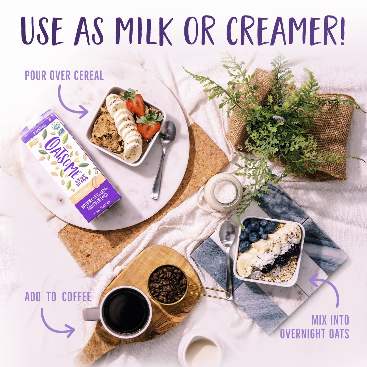 Oatsome Organic Oat Milk, 1-Liter Carton, Regular, 33.8 Fl Oz (Pack of 1)