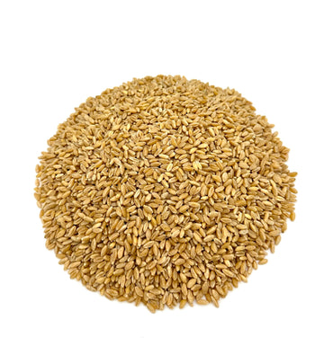Durum Wheat Berries I Wheatland I 20Lb Bucket I 25 Year Shelf Life I Tested Chemical Free I Non Gmo I Kosher I Vegan I Mylar + 4