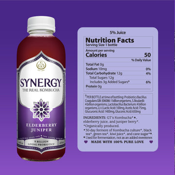 SYNERGY The Real Kombucha - Elderberry Juniper - 16 fl oz Bottle - Raw Probiotic Drink for Gut Health and Immune Support