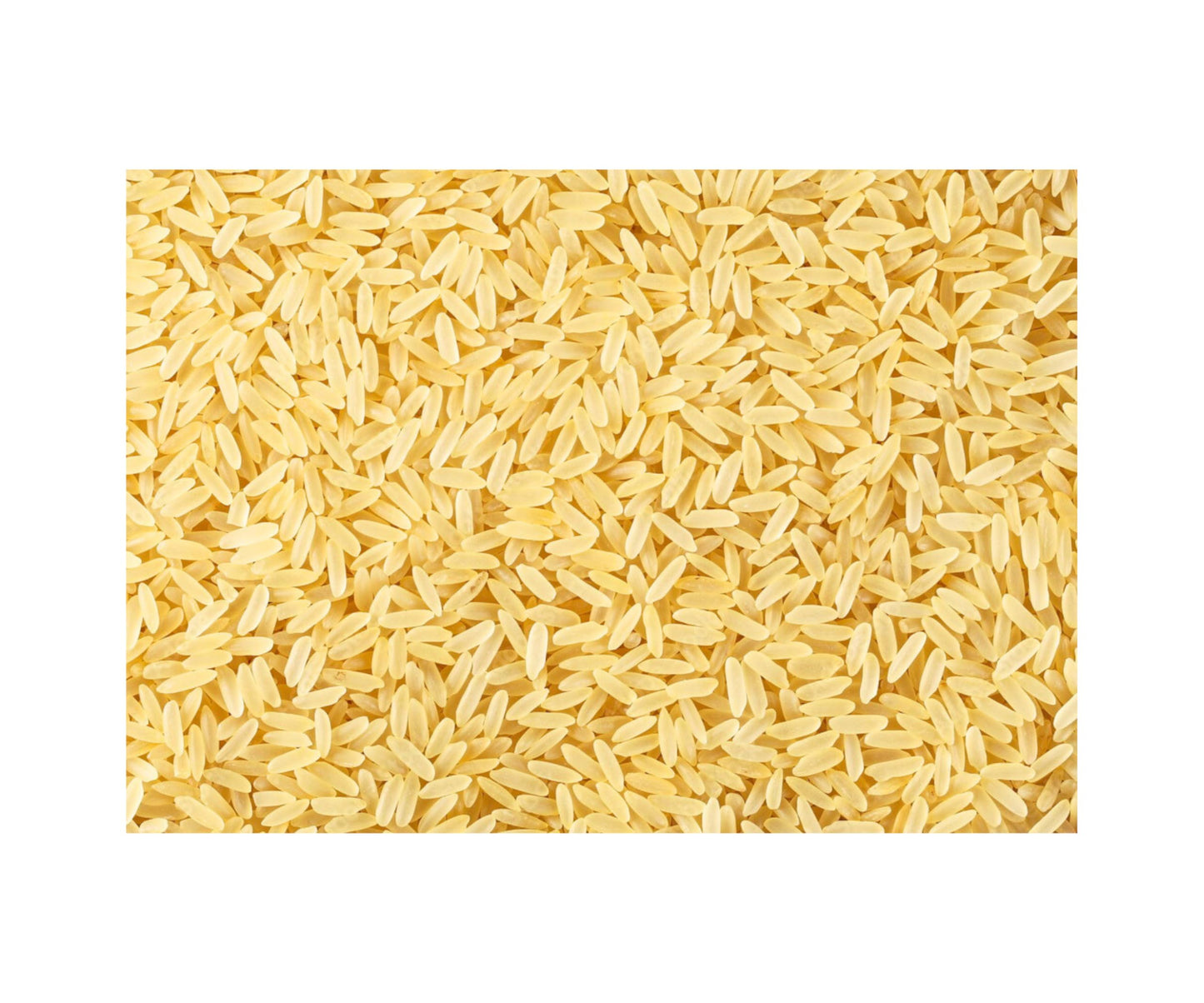 Generic Parboiled Rice 25Lb | 1 Box | Clean White Rice
