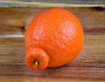 Kejora Fresh Honeybell Oranges (Minneola Tangelo) 15 Lb