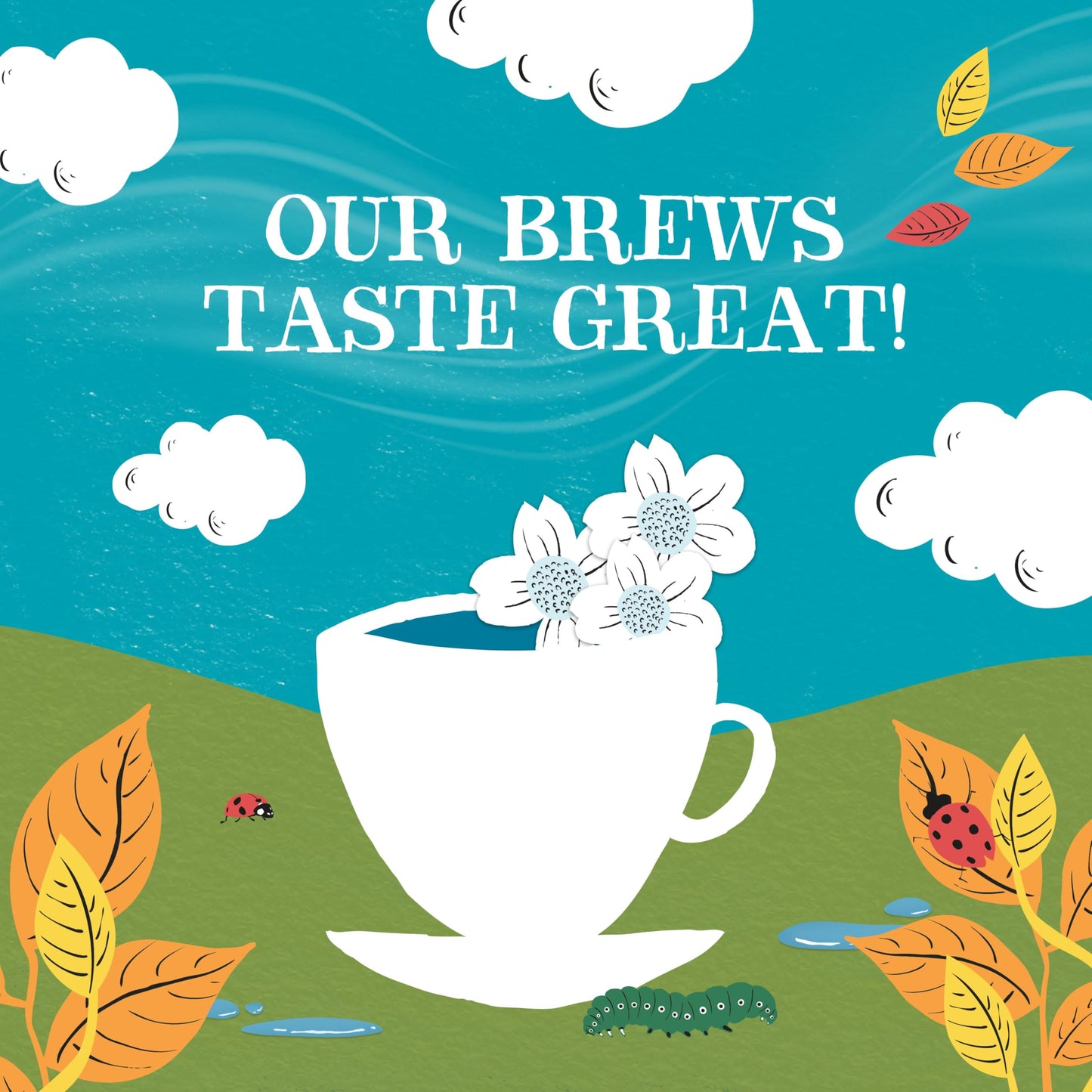 Tuhimo Organic White Tea, 11 Count (Pack Of 369), 0.27 Kg, 29 X 14.8 Cm