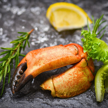 Florida Stone Crabs Claws-Medium 5-8 Claws Per Lb. Fresh Never Frozen wild Caught (10lbs)