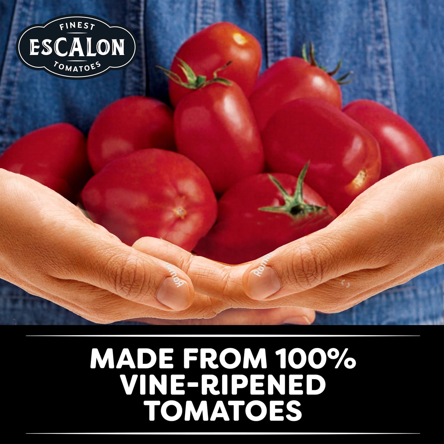 Escalon 6 In 1 All Purpose Ground Tomatoes, 6 Lb 9 Oz Can