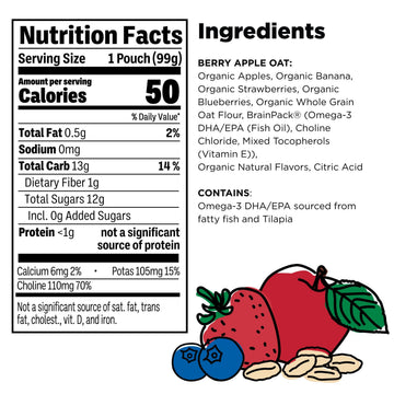 Little Brainiac Breakfast Blend Organic Fruit & Oat Toddler Pouches, Berry Apple Oat with Omega-3s DHA/EPA and Choline, Clean La