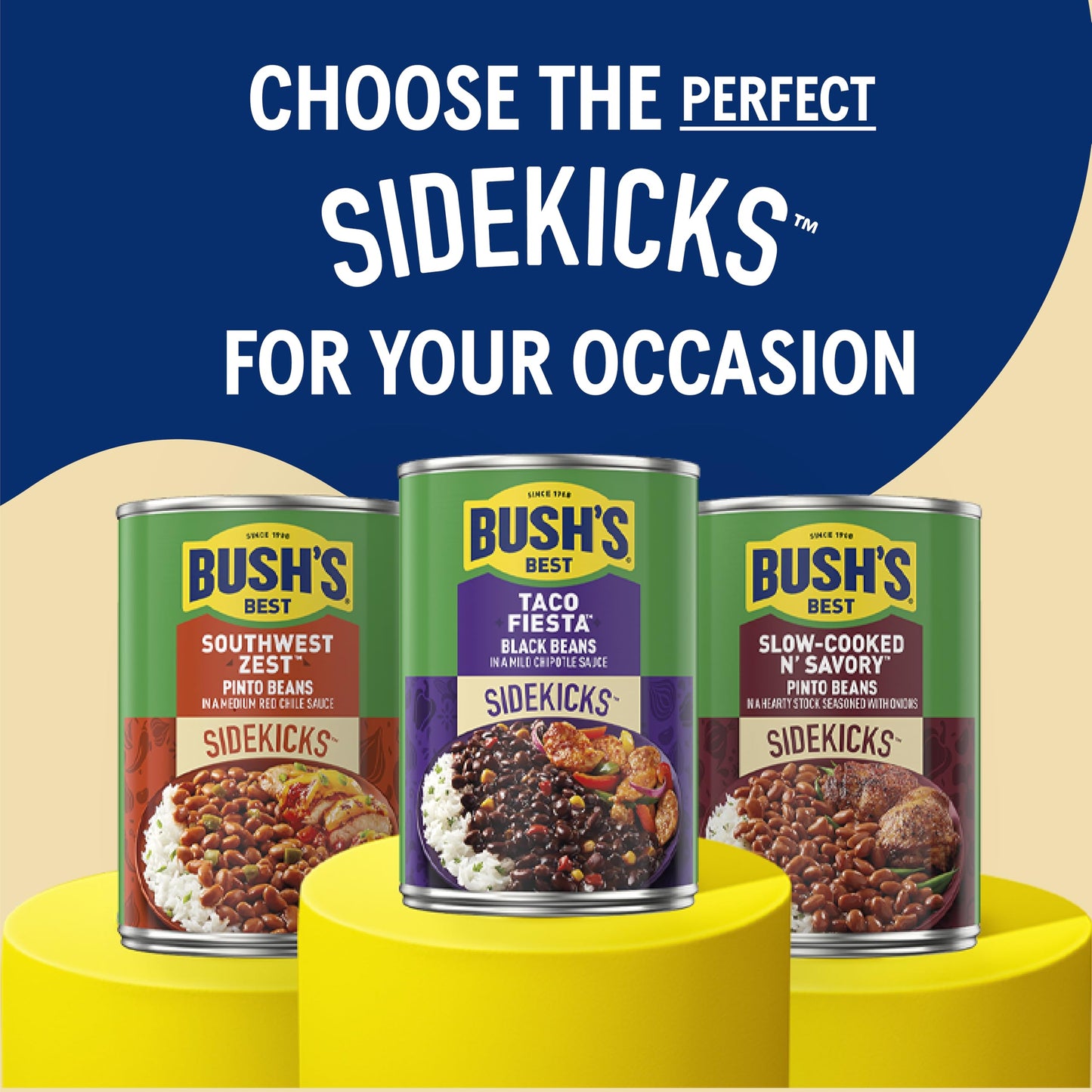 BUSH S BEST 15.1 oz Canned Taco Fiesta Black Beans, Source of Protein and Fiber, Low Fat, Gluten Free, (Pack of 12)