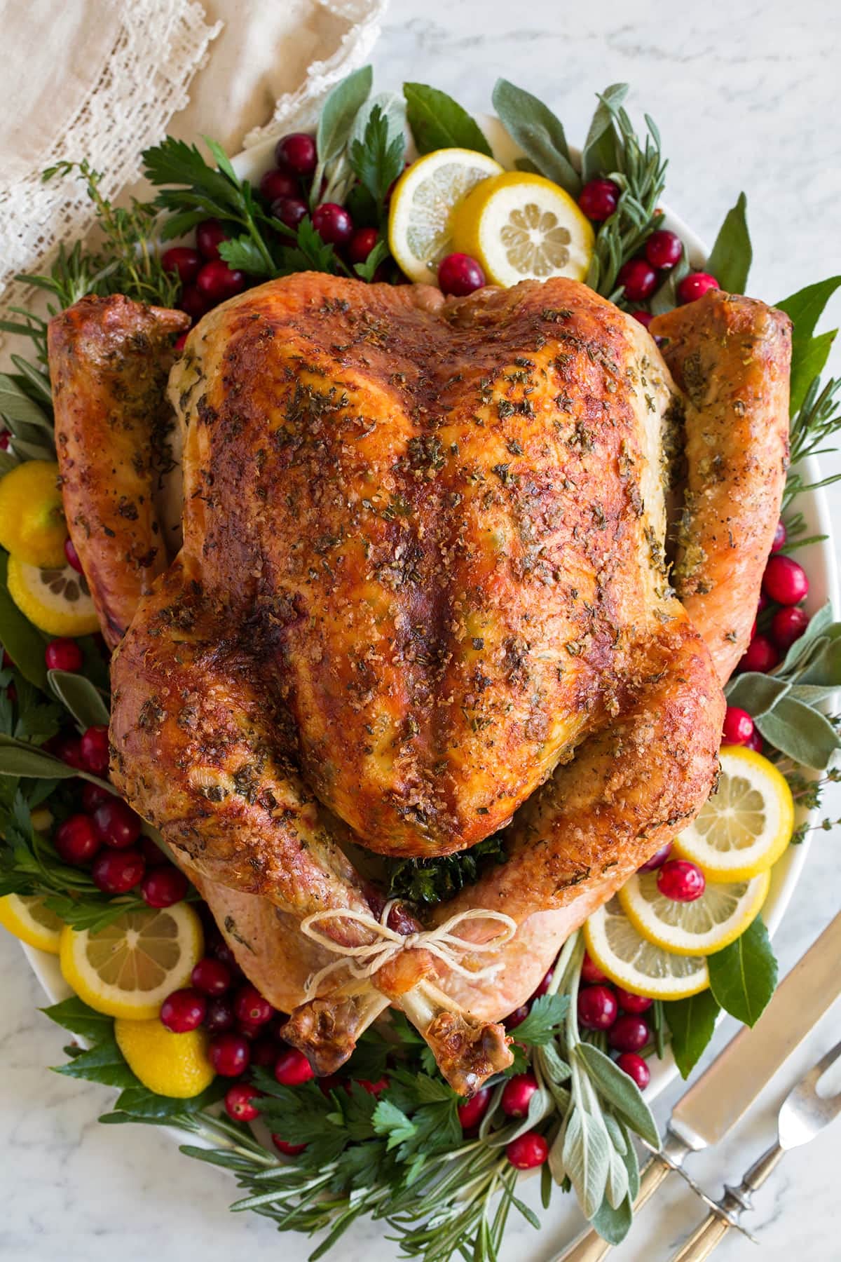 Chairman of the Bird Gourmet Turkey Brine and Rub Kit - enhanced Brine Mix Custom BPA-Free XL Brine Bag and 2 Turkey Rub Seasonings - All Natural Gluten-Free Non-GMO No MSG 16 Ounces