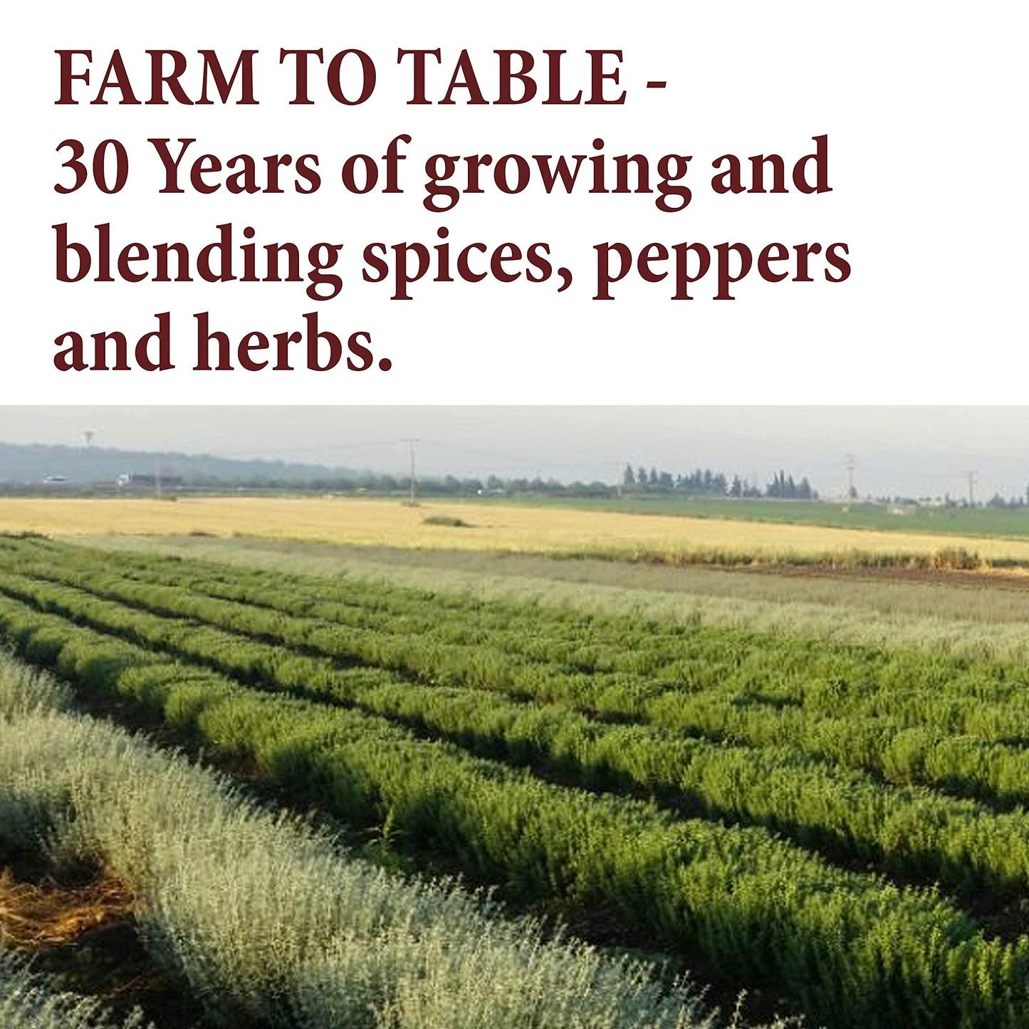 The Spice Way Ground Chipotle Powder - 4 oz Resealable Bag