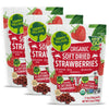 Happy Village Organic Soft Dried Strawberries On the Go - 3 Bags (15 Individual Portion Packs) | Healthy, Organic, Non-GMO, Vega