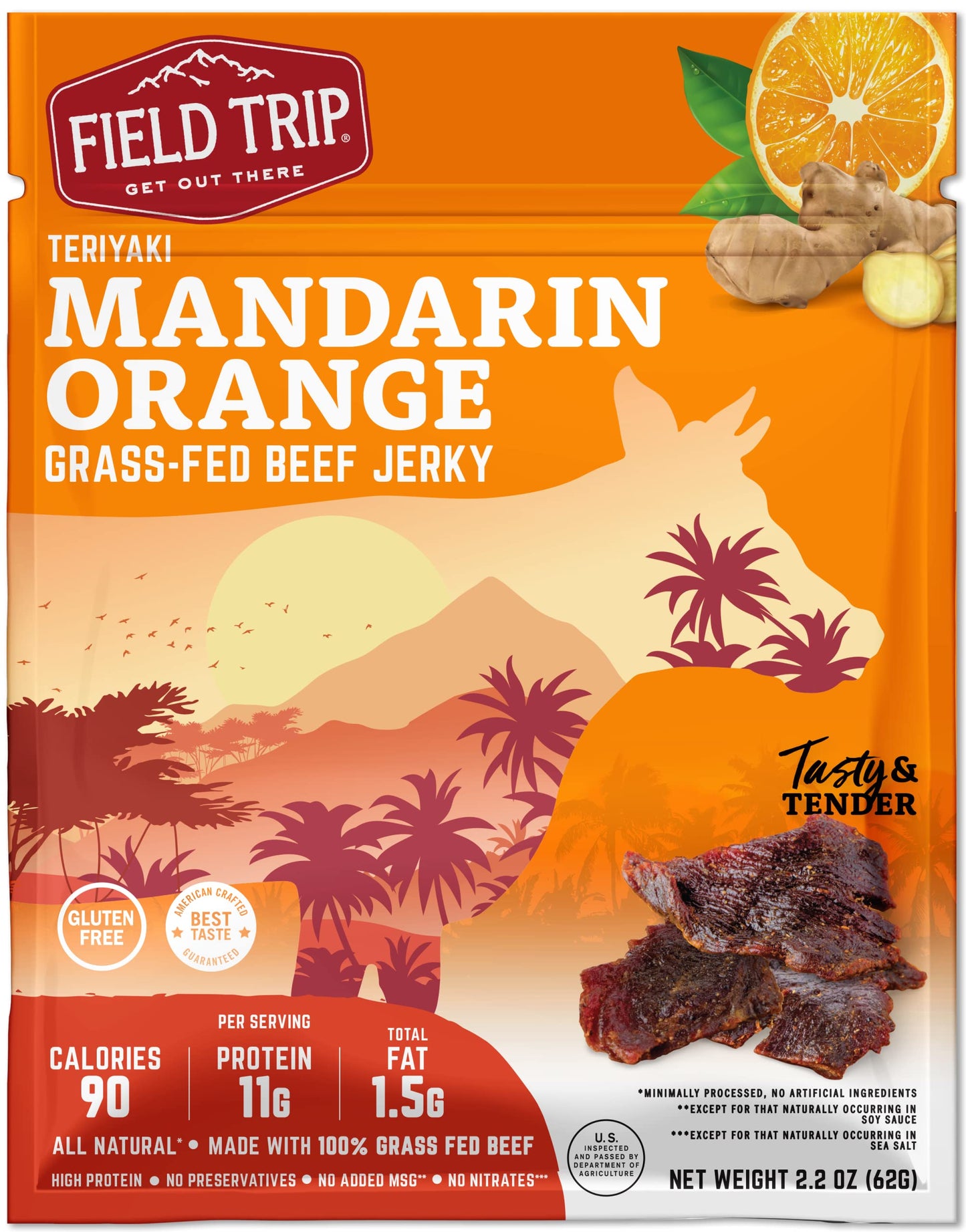Field Trip Beef Jerky | Gluten Free Jerky, Low Carb, Healthy High Protein Snacks With No Nitrates, Made With All Natural Ingredients | Teriyaki | 2.2Oz Bag