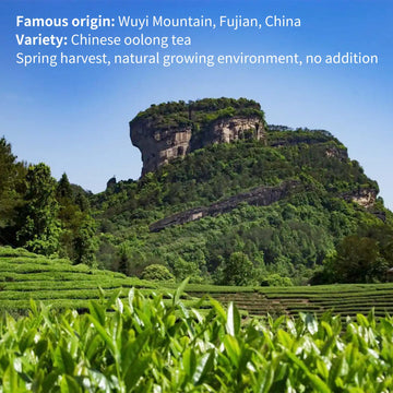 XIXICHA Da Hong Pao Oolong Tea - Loose Leaf Big Red Robe, 4.23oz/120g, Wuyi Rock Tea with Toasted Aroma, Natural High Mountain Tea