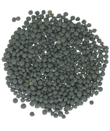Black Lentils | Caviar Or Beluga Lentils | 1 Lbs | Non-Gmo | Kosher | Vegan | Non-Irradiated