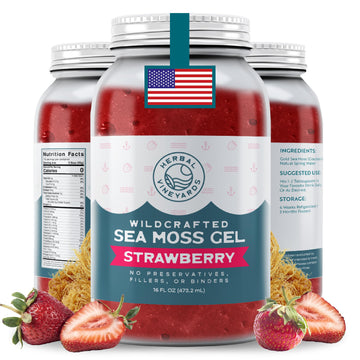 Herbal Vineyards Wildcrafted Irish Strawberry Sea Moss Gel 16 Oz - Organic Seamoss Gel Made with Dried Seaweed & Fresh Sea Veget