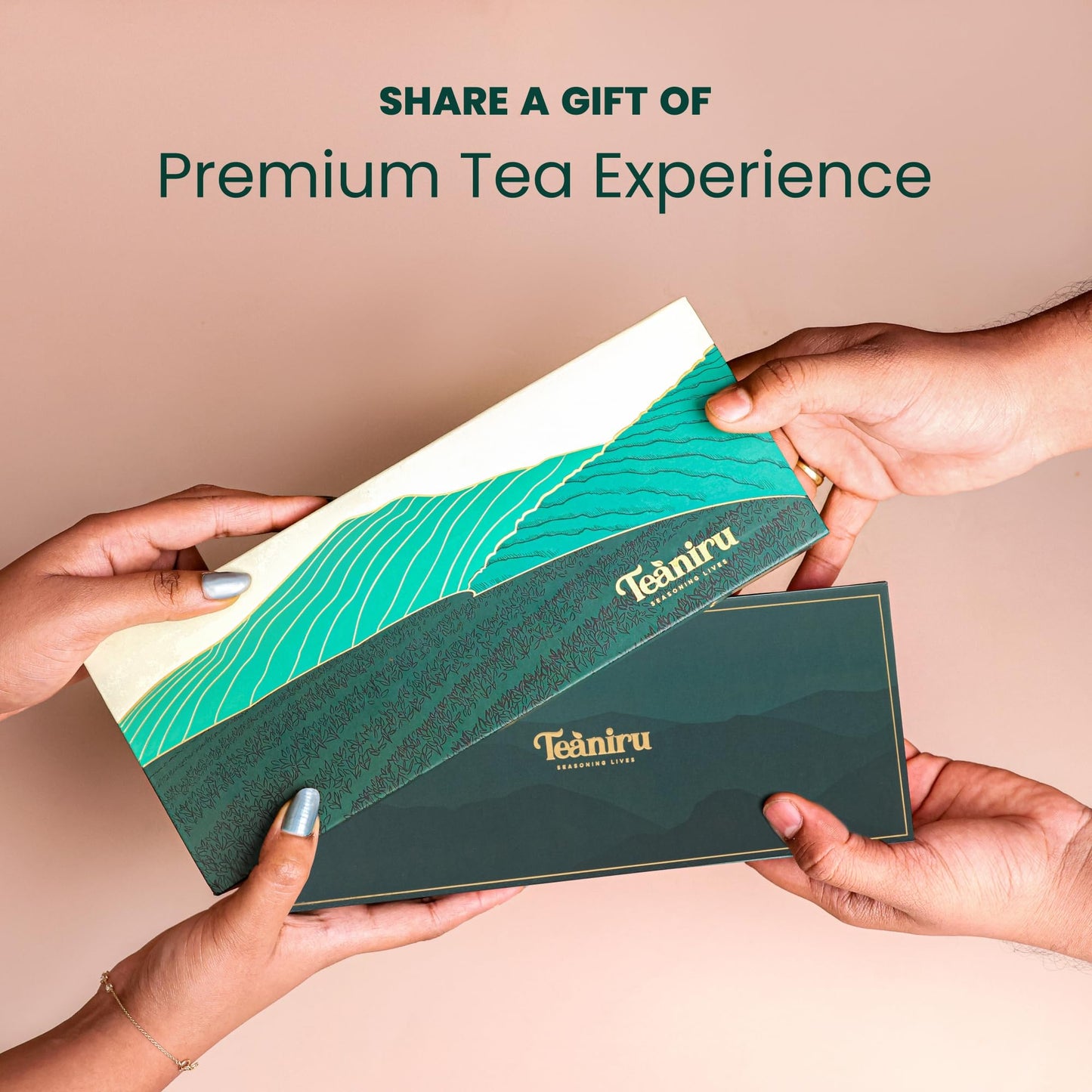 Teaniru, Gourmet Tea Collection - Pack Of 100 | 6 Flavored Loose Leaf Tea Set | Gourmet Tea Gift Sets | Corporate Gifting & Bulk