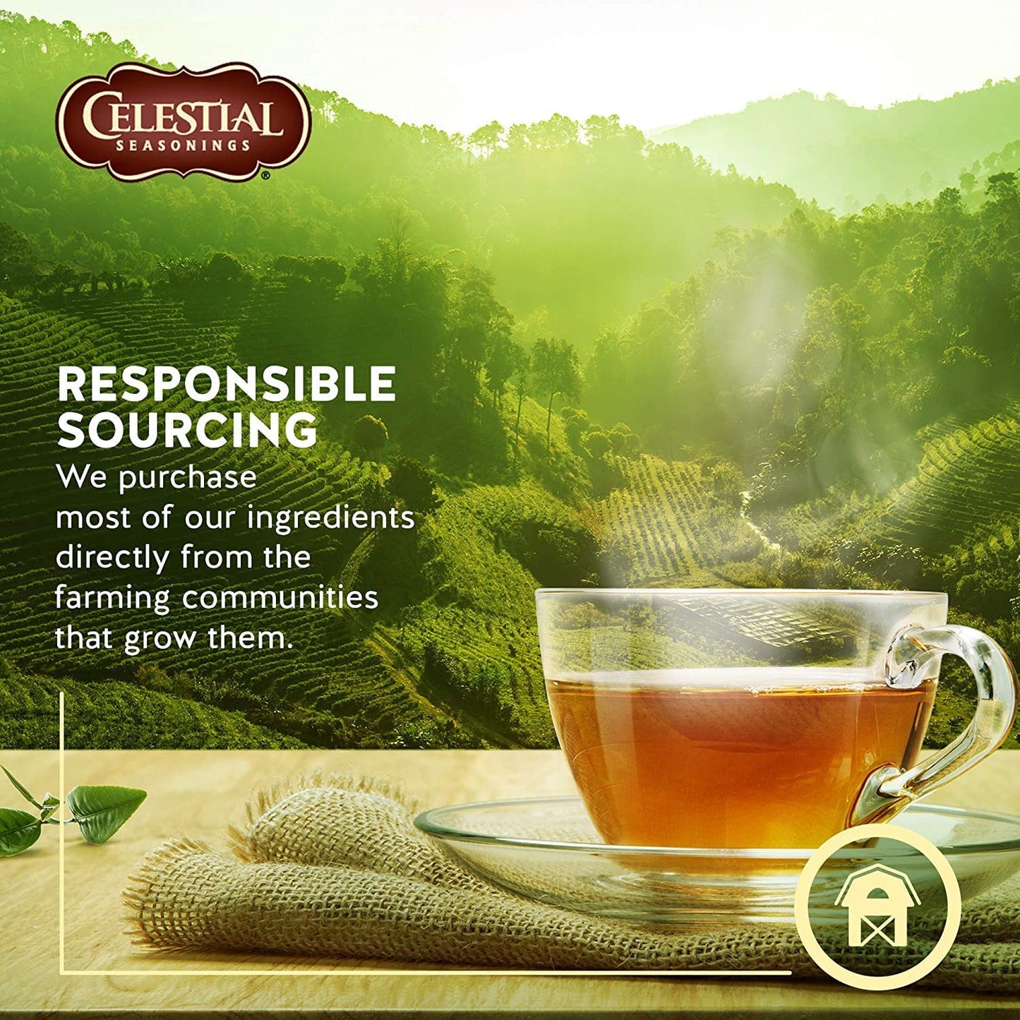 Celestial Seasonings Sleepytime Herbal Tea, 20 Count (Pack Of 2)
