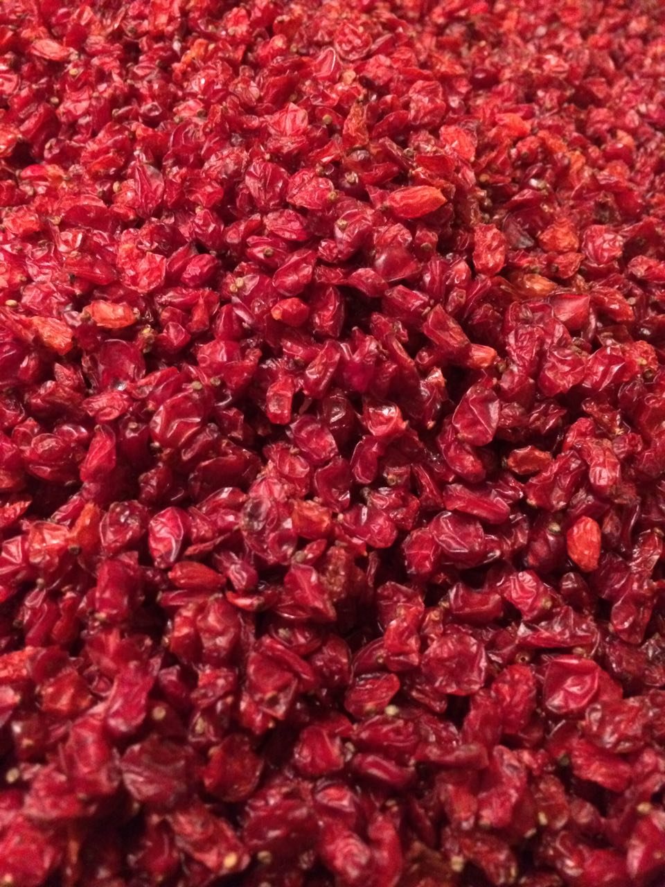 Shirin Barberries(Zereshk),8 Oz