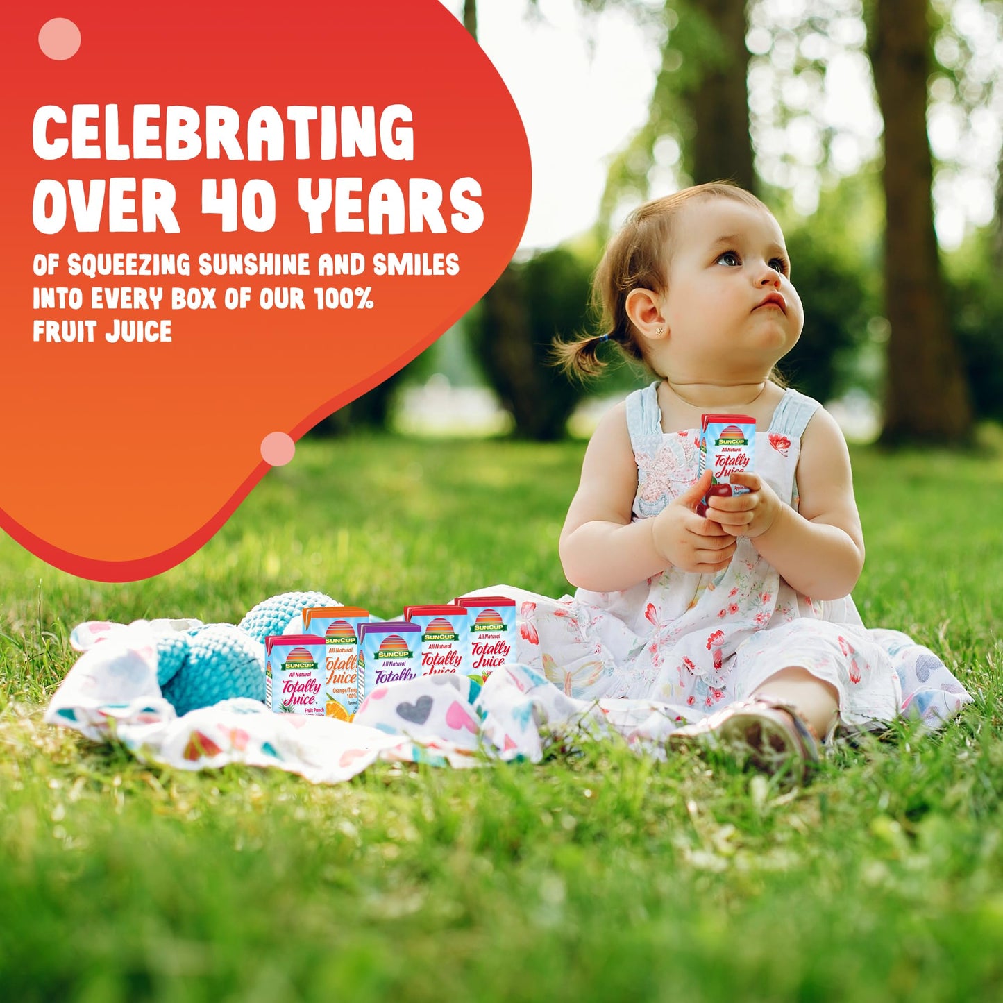 SunCup Totally Juice - 40 Pack / 4.23 oz Juice Box w/Straw (Fruit Punch 100% Juice)