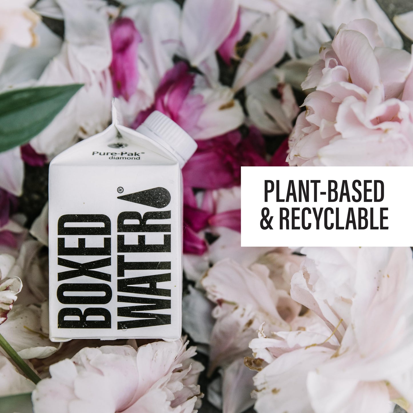 Boxed Water 8.5 oz. (24 Pack) - Purified Drinking Water in 92% Plant-Based Boxes, 100% Recyclable, BPA-Free, Refillable Cartons,