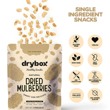 Drybox Dried White Mulberries Snacks 5 Pack No Sugar Added | Non-Gmo Gluten Free Dried Fruit | Great For School Lunches, Office