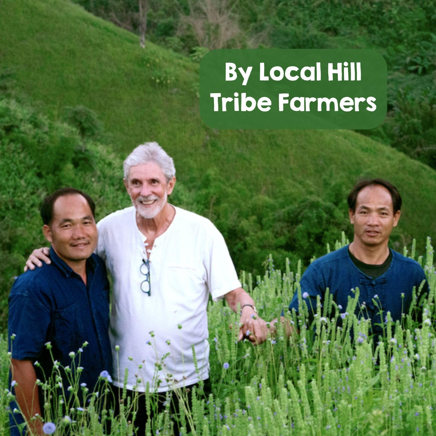 Perfect Earth Chia Seeds - Organic, Gluten-Free, Allergen-Free, Vegan, Keto-Friendly, High In Omega-3, Iron & Protein. For Healt