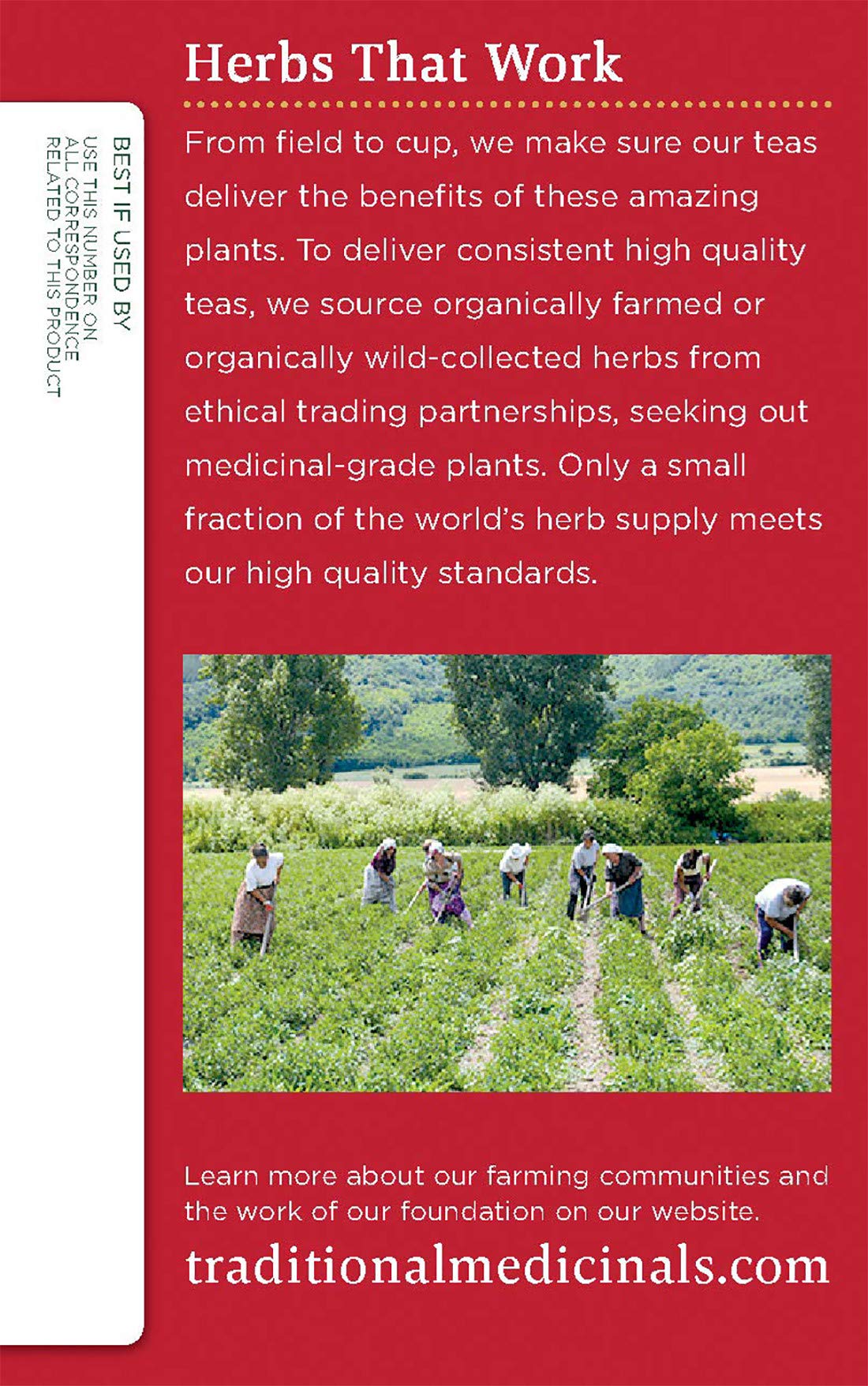 Traditional Medicinals Organic Echinacea Plus Elderberry Herbal Tea, Promotes Immune Function, (Pack Of 1) - 16 Tea Bags