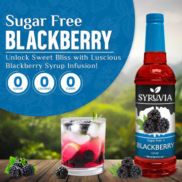 Syruvia Sugar Free Blackberry Syrup With Syrup Pump Dispenser - Blackberry Syrup Flavor, 25.4 Fl Oz - Perfect For Cocktails, Ice