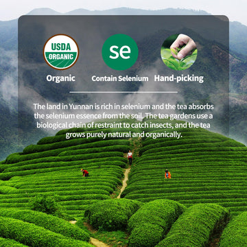 Khs Organic Raw Pu Erh Cake, 3.53 Oz Usda Certified Organic Puerh Cake, No Dust Production Workshop, Aged Chinese Yunnan Ancient