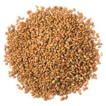 Food to Live Alfalfa Seeds for Sprouting, 20 Pounds - Edible Seeds, Pure, Vegan, Kosher, Bulk. Rich in Vitamin K & C. High Germi