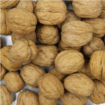 Smarty Stop Raw Walnuts In Shell (2 Pound (Pack Of 1))