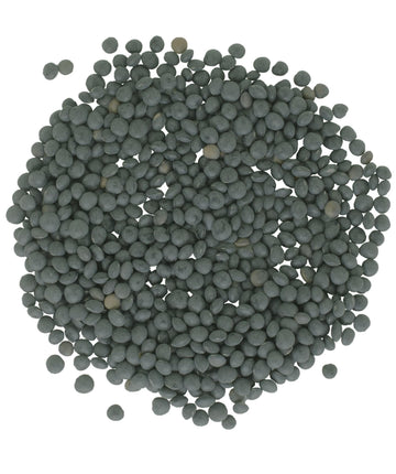 Lentils | Black Beluga | 64 Ounce Bag | Non-Gmo | Kosher | Vegan | Non-Irradiated