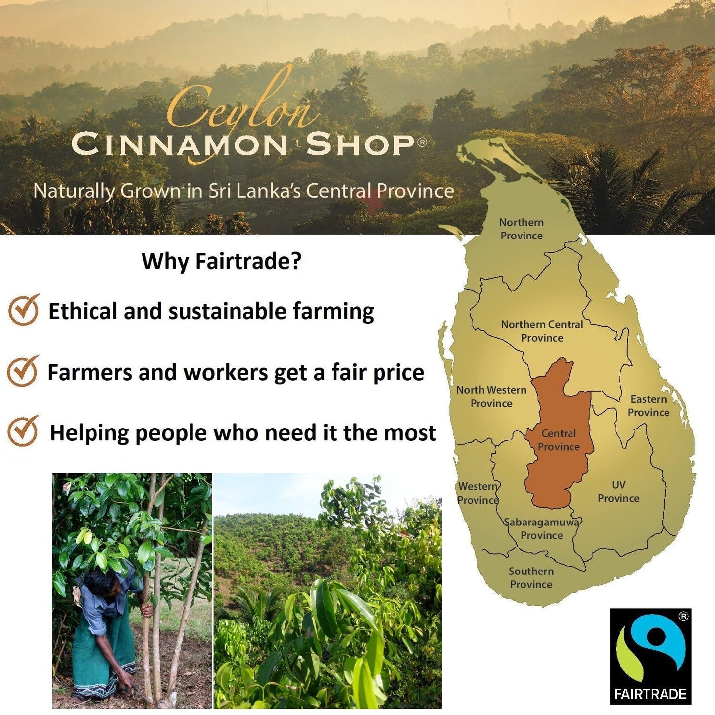 Ceylon Cinnamon Shop Organic Ceylon Cinnamon Powder, 100% Certified, 8 Ounce, Premium Quality Spice for Baking and Cooking