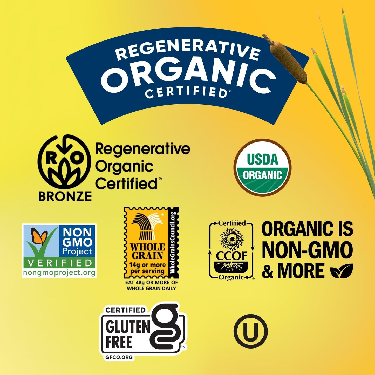 Lundberg Family Farms Organic Thin Stackers Grain Cakes, Red Rice And Quinoa, 5.9 Oz