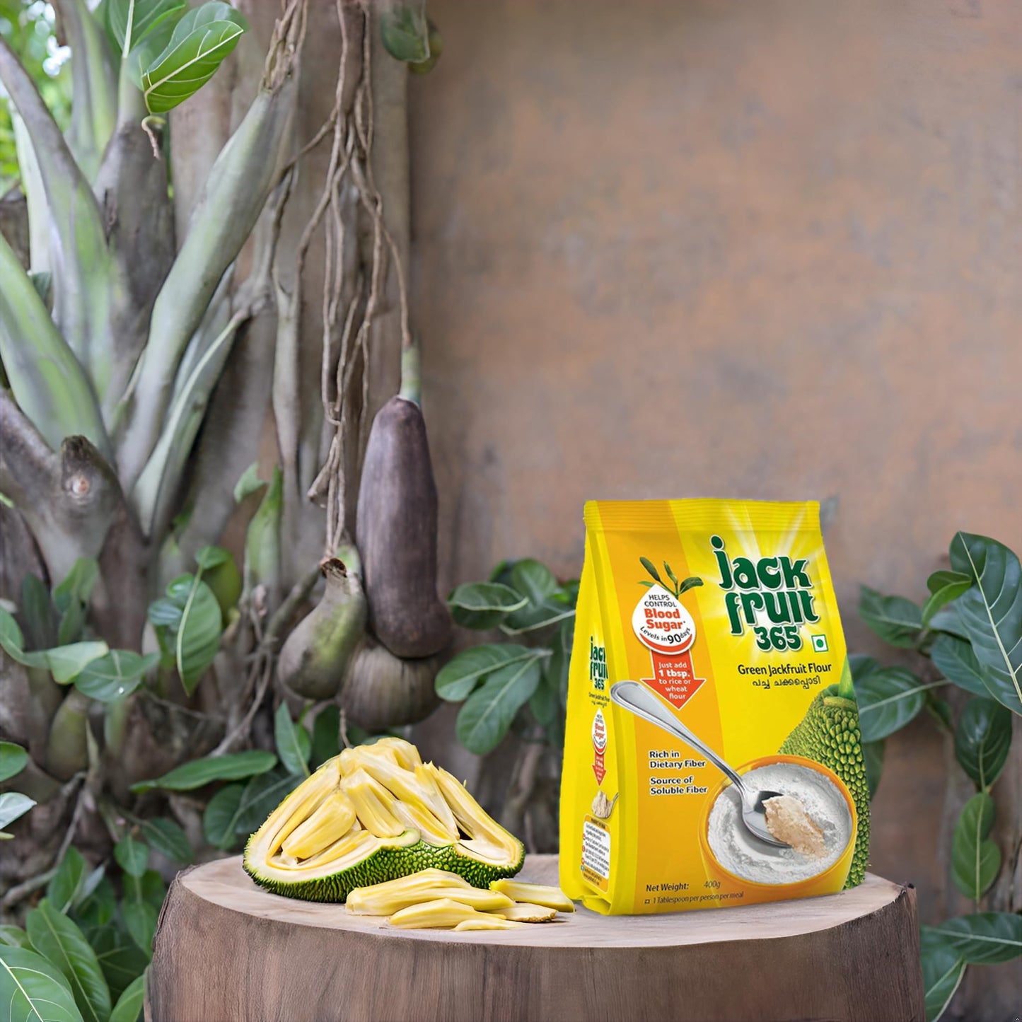 Jackfruit365 Green Jackfruit Flour | Helps in Blood Sugar Control | Organic Low Glycemic | 400g (Pack of 1)