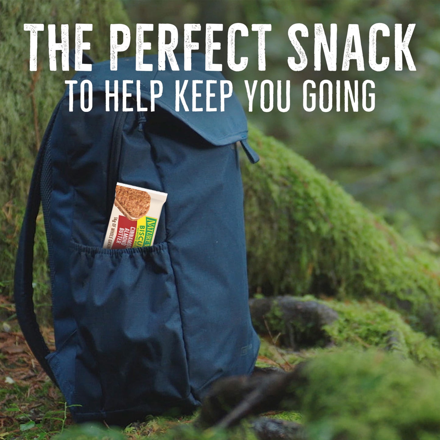 Nature Valley Biscuit Sandwiches, Cinnamon Almond Butter, 10 Ct, 13.5 Oz (Pack Of 6)