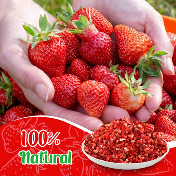 EquSym Freeze Dried Strawberry Pieces – Crunchy Fruit Snack for Yogurt, Cereal, Smoothies – 5oz/142g