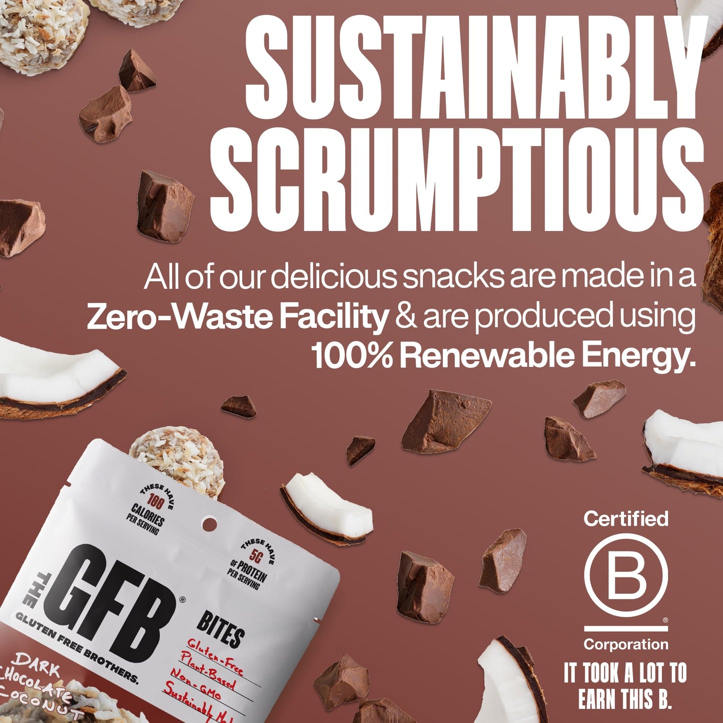 The GFB Dark Chocolate Coconut Protein Bites - Gluten Free, Plant Based, Non GMO, Sustainably Made - Ridiculously Tasty, Healthy