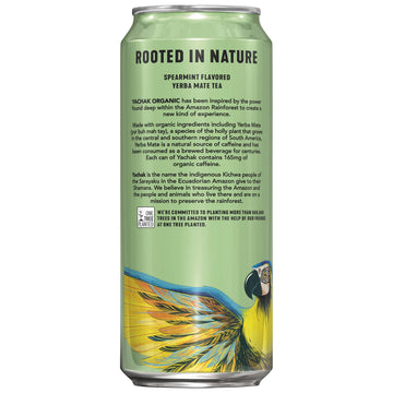 Yachak Yerba Mate Drink, Ultimate Mint, 16 Fl Oz, Pack of 12