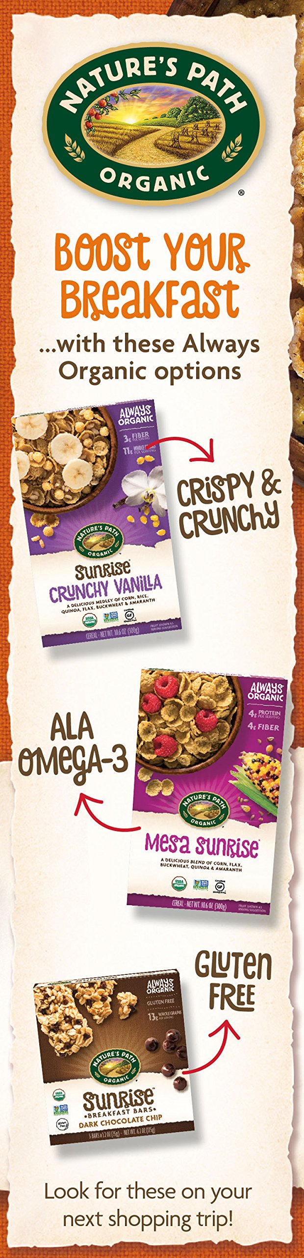 Nature's Path Organic Gluten-Free Cereal, Crunchy Maple Sunrise, 10.6 Ounce Box (Pack of 12)