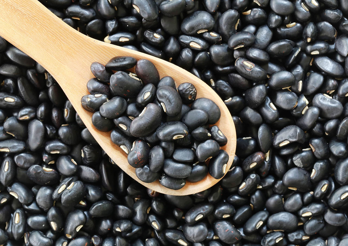 Food to Live Black Turtle Beans, 3 Pound Whole Dried Beans, Vegan, Kosher, Low Sodium, Great Source of Protein and Fiber