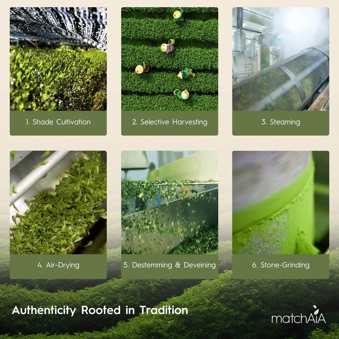 Matchaia Superior Ceremonial Grade, Usda-Certified Organic Matcha, 100% Pure Green Tea Powder, First Spring Harvest, Sugar Free,