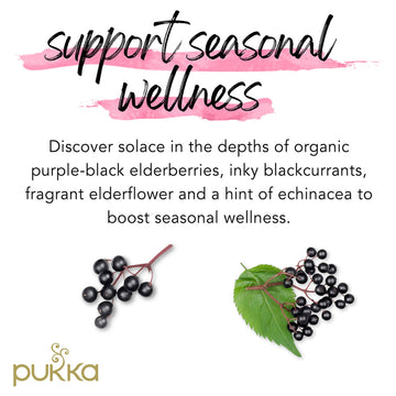 Pukka Organic Herbal Tea Elderberry & Echinacea 20 Tea Bags