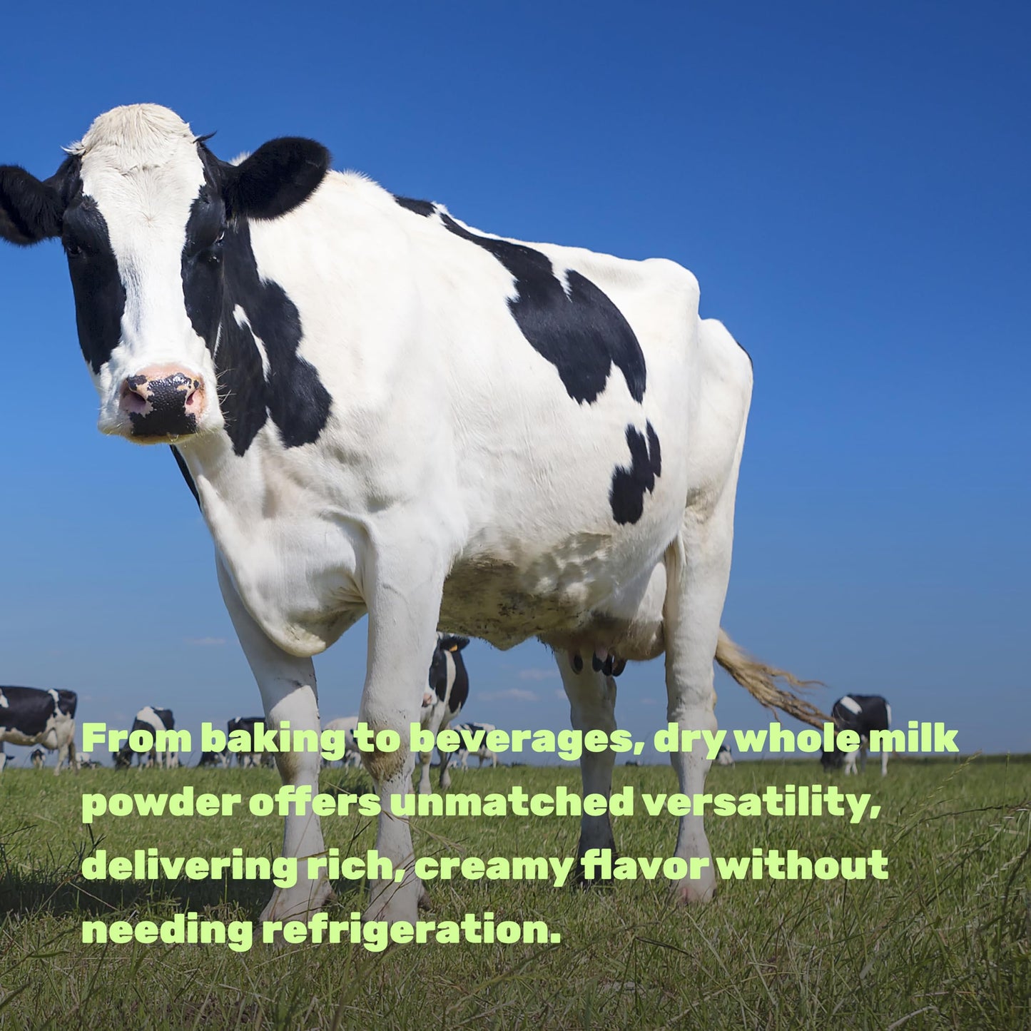 Dry Whole Milk Powder, 3Lbs - Natural Pasture Raised Source - Made In Usa - Powdered Milk For Baking & Cooking - 9G Protein Per