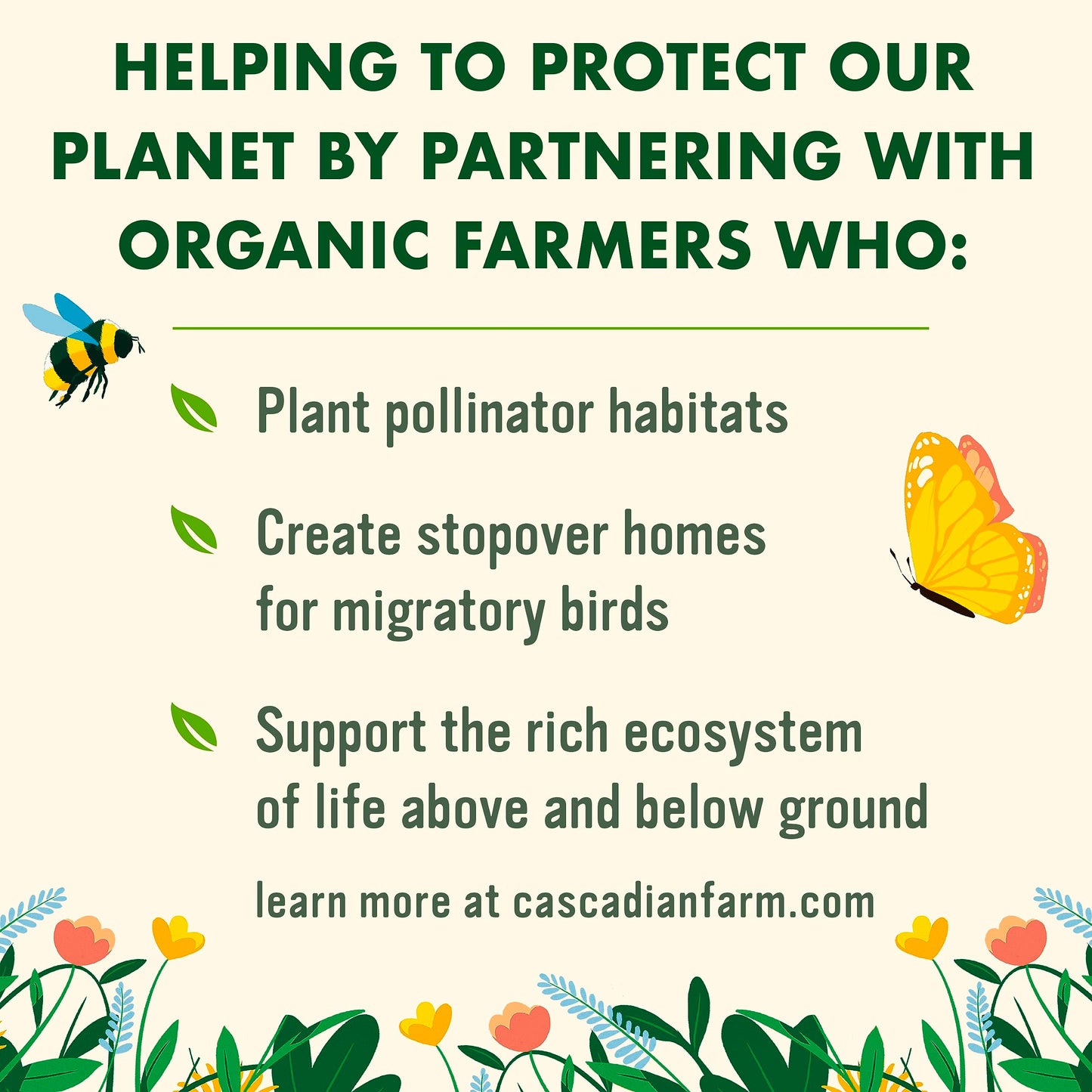 Cascadian Farm Organic Cinnamon Oat Clusters Breakfast Cereal, Made With Whole Grain, Non-GMO, 15 oz