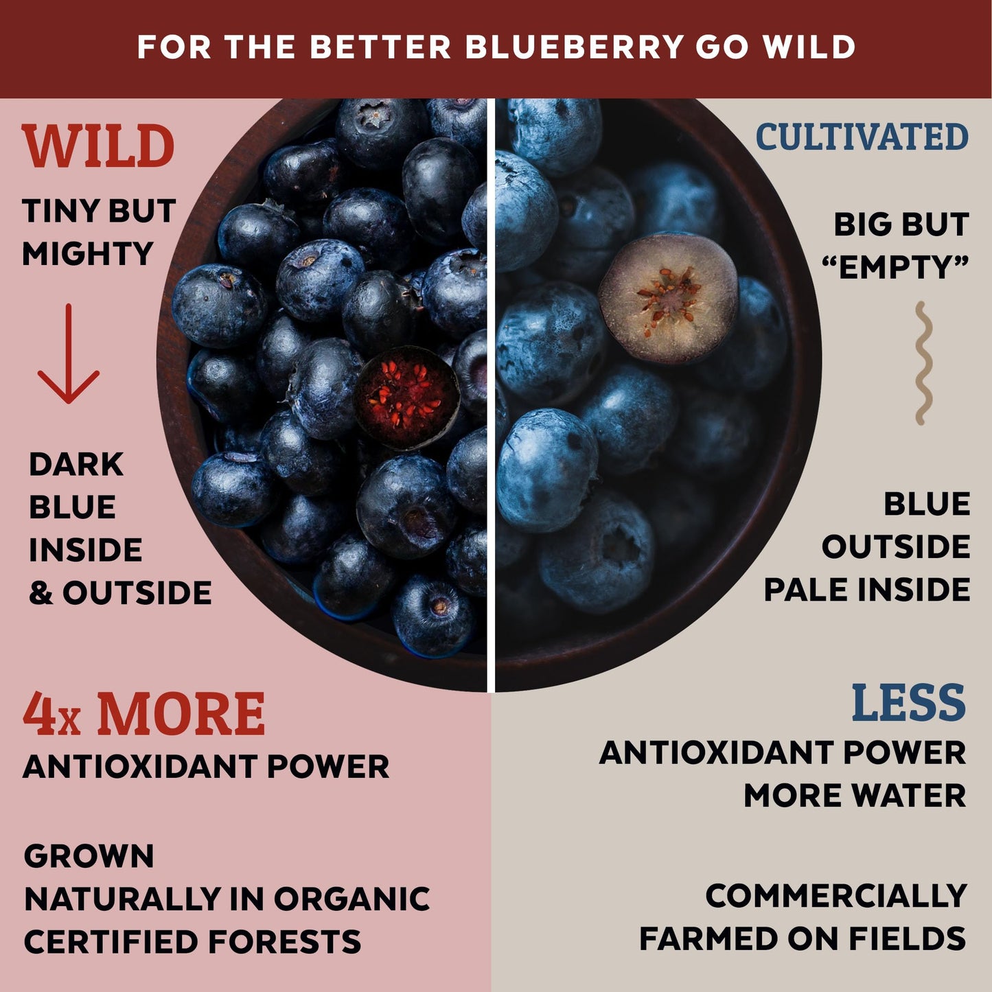 Numami Wild Blueberry Powder Organic, For Smoothies, Baking And Flavoring, Rich In Antioxydants And Vitamin C, Organic Blueberri