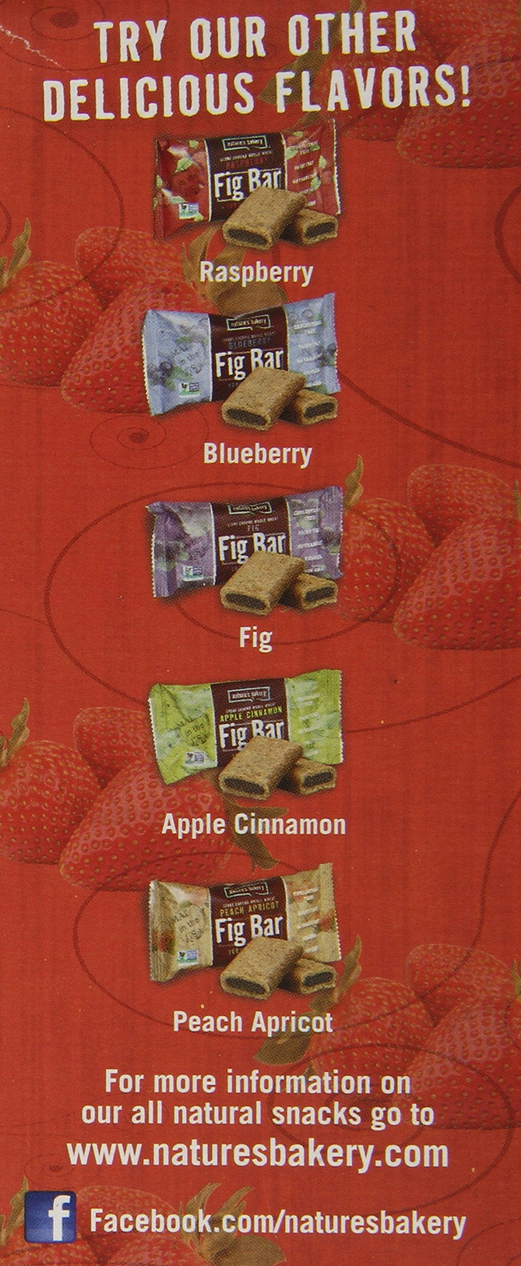 Natures Bakery Whole Wheat Fig Bars, Double Chocolate Brownie, Real Fruit, Vegan, Non-GMO, Snack bar, 1 box with 6 twin packs