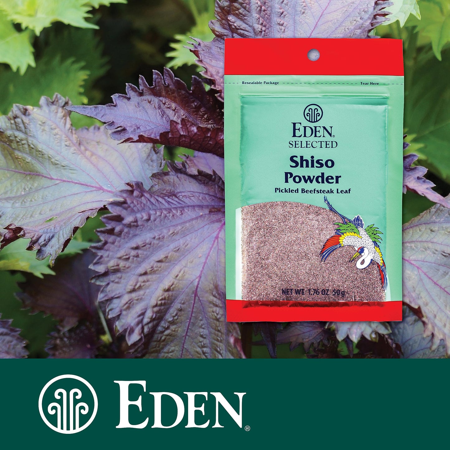 Eden Shiso Leaf Powder, Traditionally Made In Japan, Pickled Beefsteak Leaf, 1.76 Oz