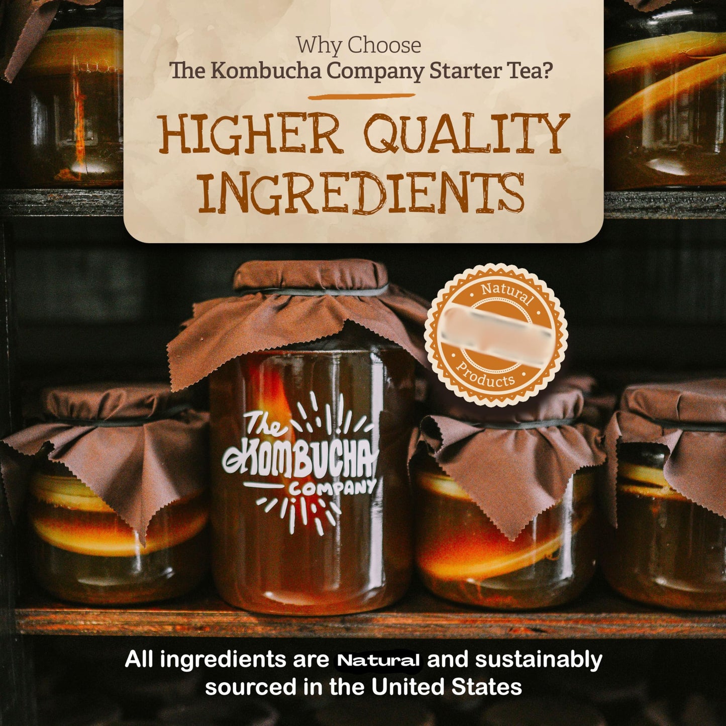 The Kombucha Company Large Kombucha Scoby with 16oz Starter Tea & Brewing Guide - Makes One Gallon at Home