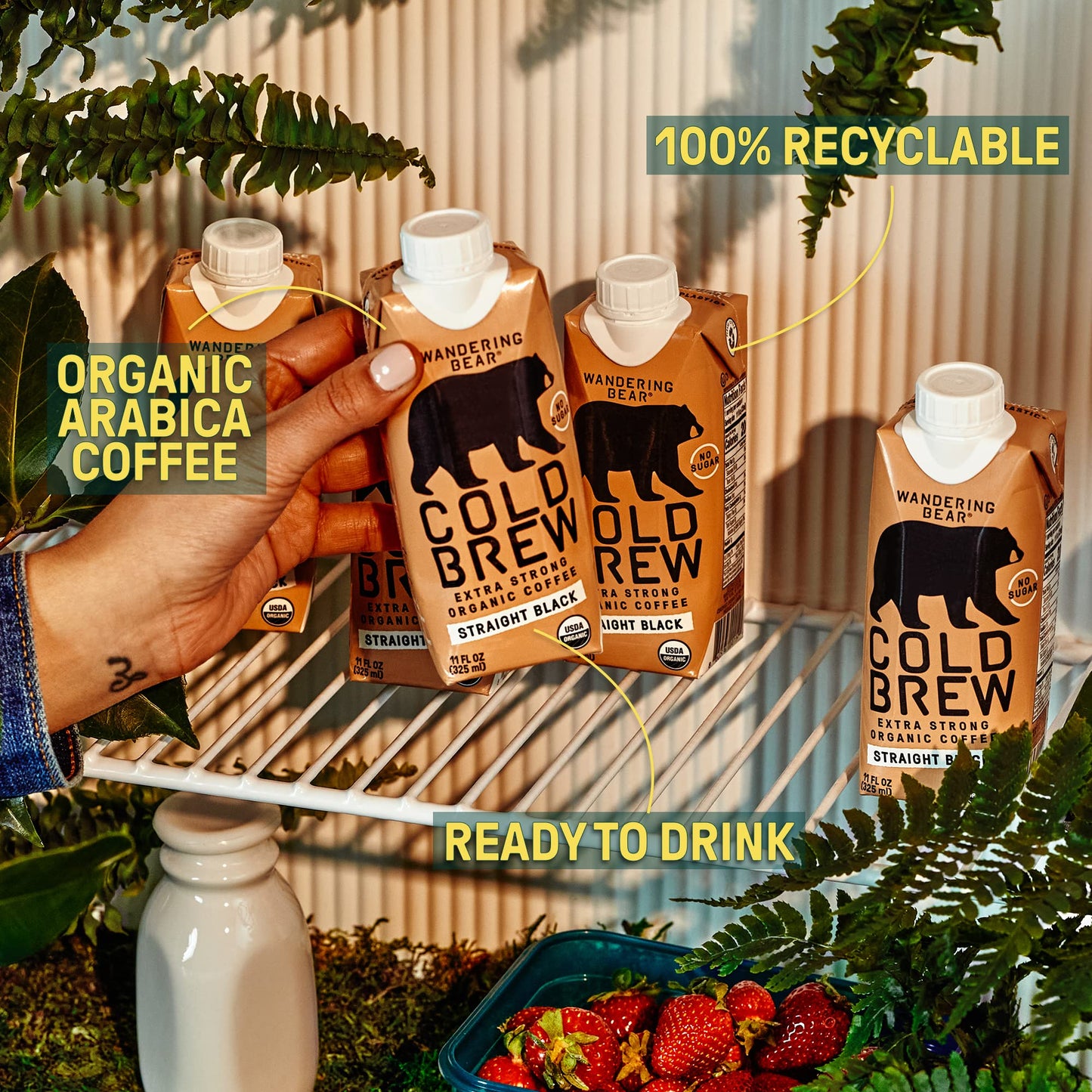 Wandering Bear Straight Black Organic Cold Brew Coffee On-The-Go, Iced Coffee, 11 Fl Oz, 12 Pack - Extra Strong, Smooth, Unsweet